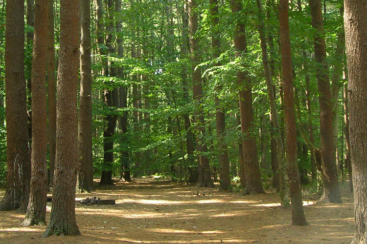 Perkins Island - South Hamilton, Massachusetts - glamping.directory