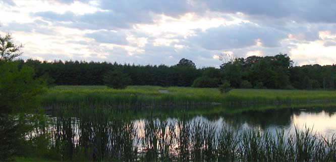 Beside Still Waters Log Cabin and Greenhouse - Spencerville, Indiana - glamping.directory