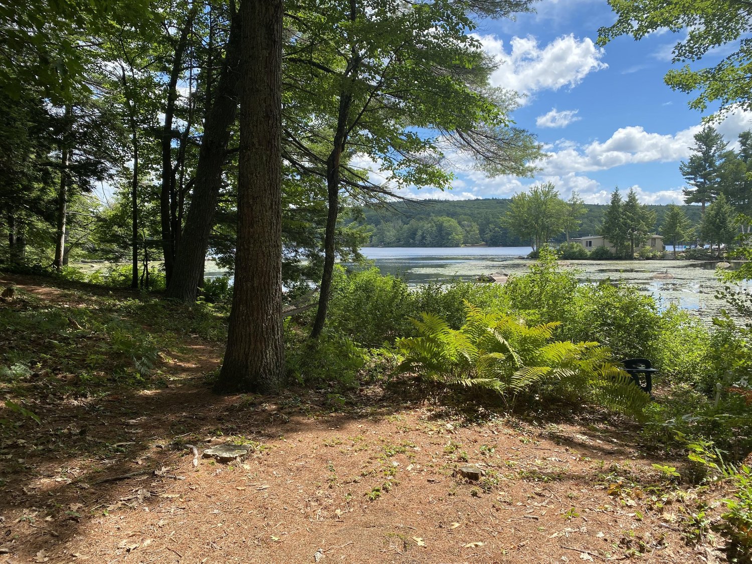 Camp Wellville - Ashburnham, Massachusetts - glamping.directory