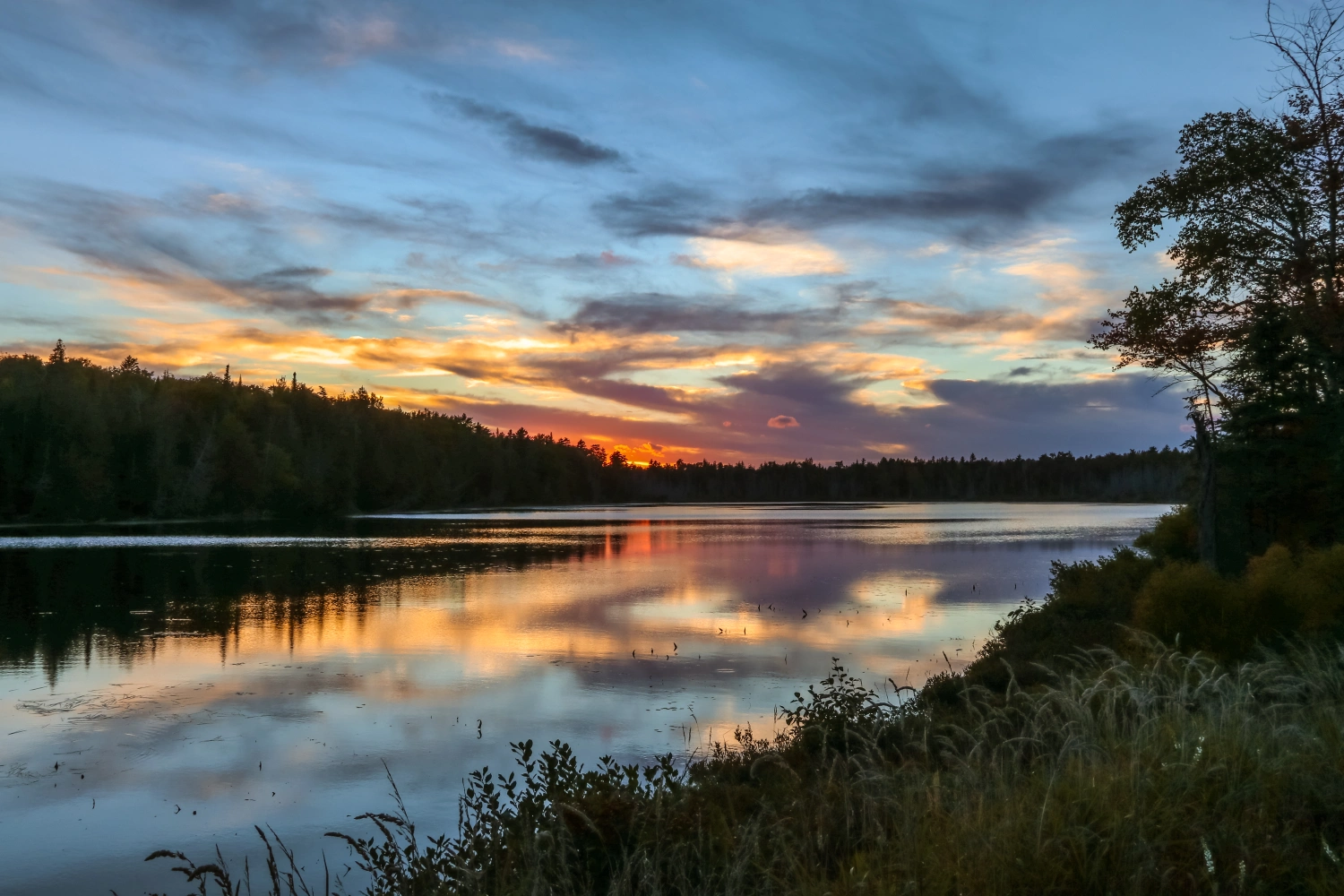 Stetson Shores Campground - Stetson, Maine - glamping.directory