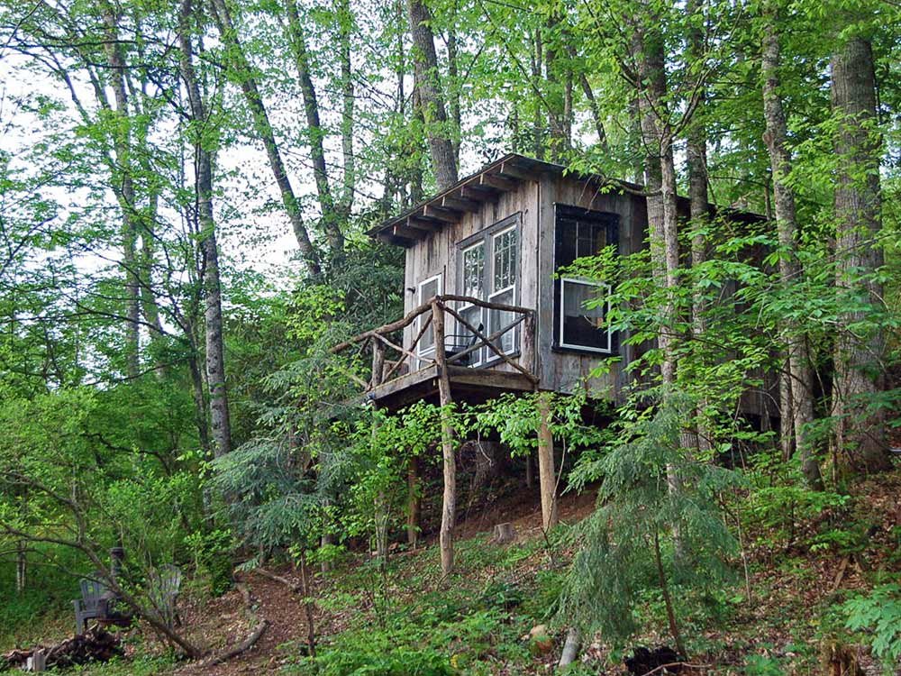 The Cabins at Healing Springs - Crumpler, North Carolina - glamping.directory