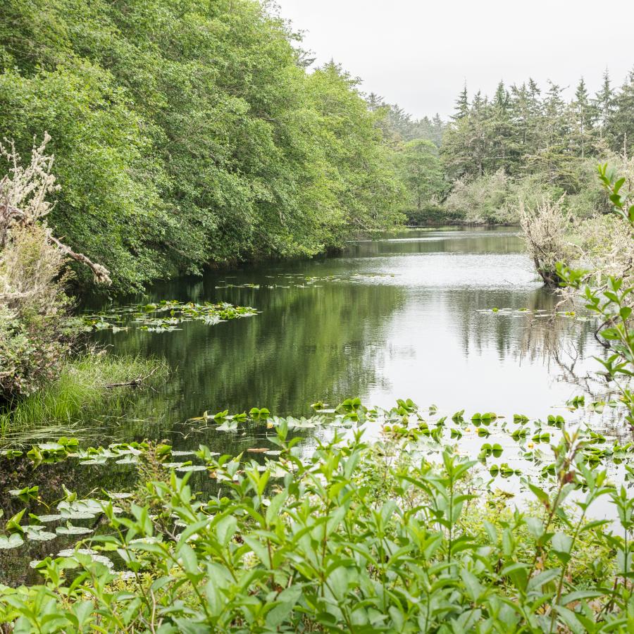 Ocean City State Park - Hoquiam, Washington - glamping.directory