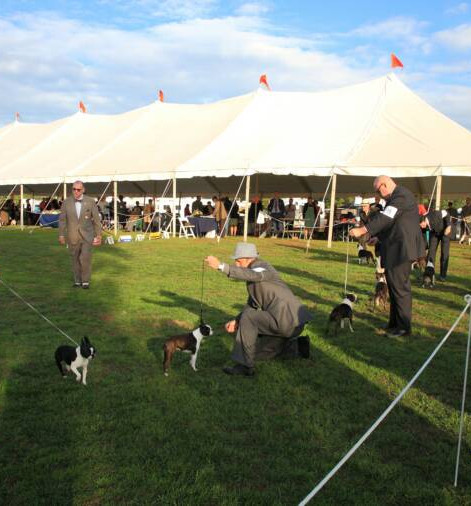 Southern Tent Company, LLC - Elkton, Maryland - glamping.directory