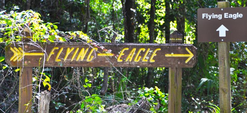 Flying Eagle Preserve Campground - Inverness, Florida - glamping.directory
