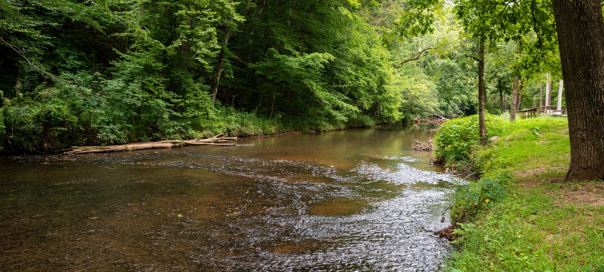 David Crockett State Park Campground #2 - Lawrenceburg, Tennessee - glamping.directory