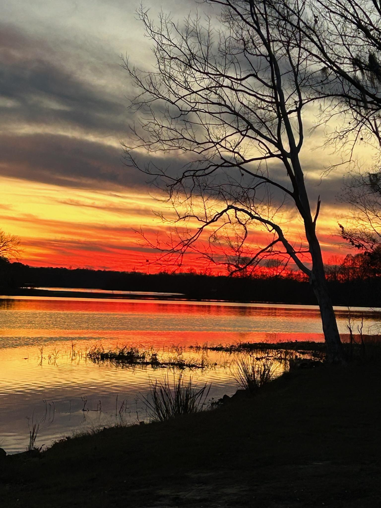 Roland Cooper State Park - Camden, Alabama - glamping.directory