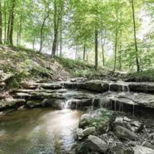 Happy Camper RV Park Lake Cumberland - Somerset, Kentucky - glamping.directory