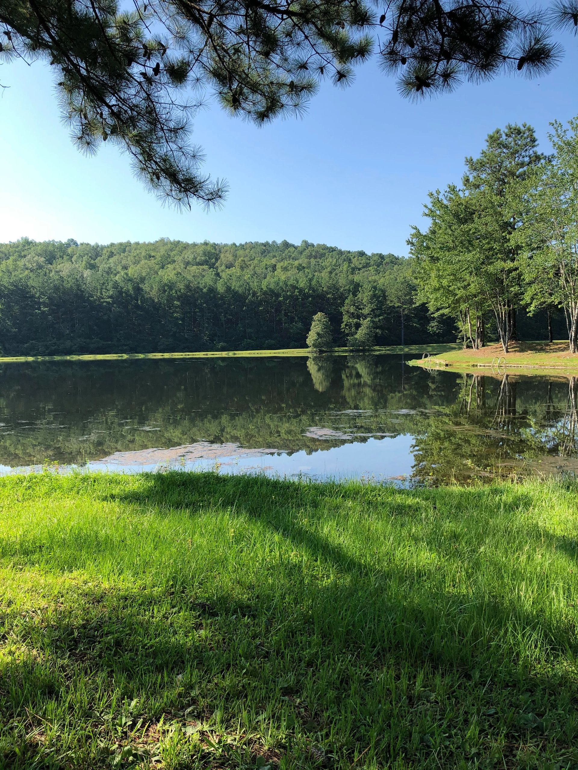 Cherokee Campground & RV Park - Helena, Alabama - glamping.directory