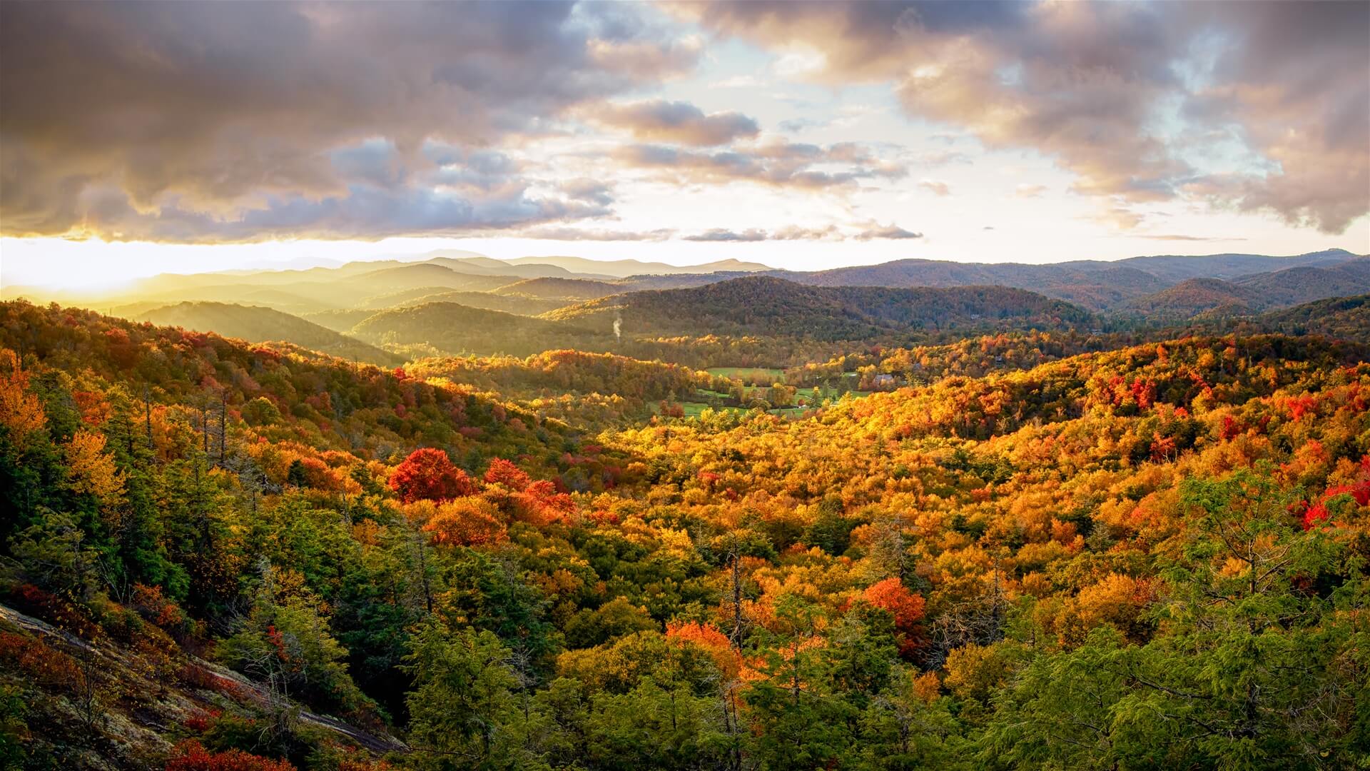 Mountain Oasis Cabin Rentals - Ellijay, Georgia - glamping.directory