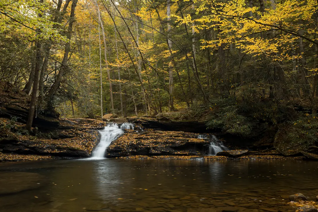 Kumbrabow State Forest - Huttonsville, West Virginia - glamping.directory