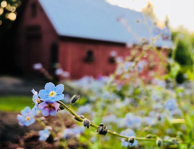 Wooly Buggah Barn - West Burke, Vermont - glamping.directory