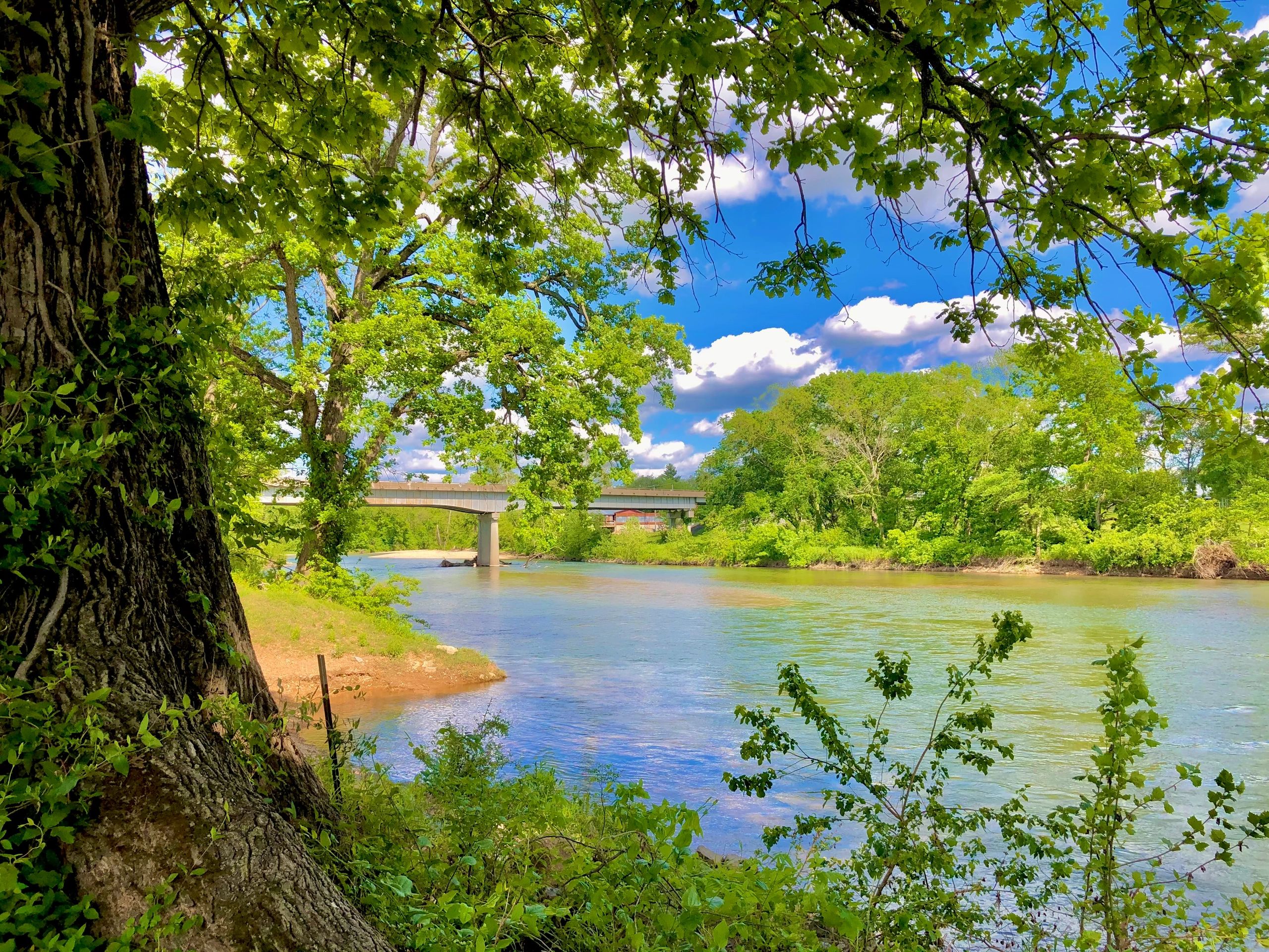 Elk River Floats & Kozy Kamp - Pineville, Missouri - glamping.directory