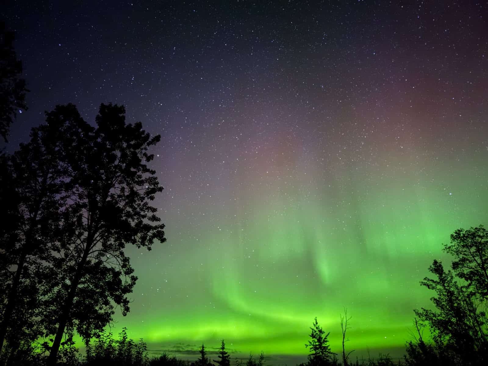 Mat-Su RV Park & Campground - Willow, Alaska - glamping.directory