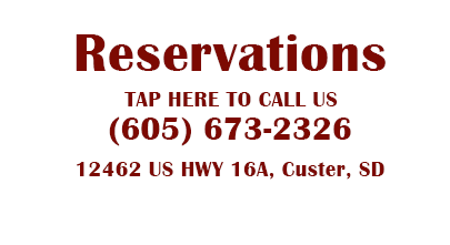 The Roost Resort - Custer, South Dakota - glamping.directory