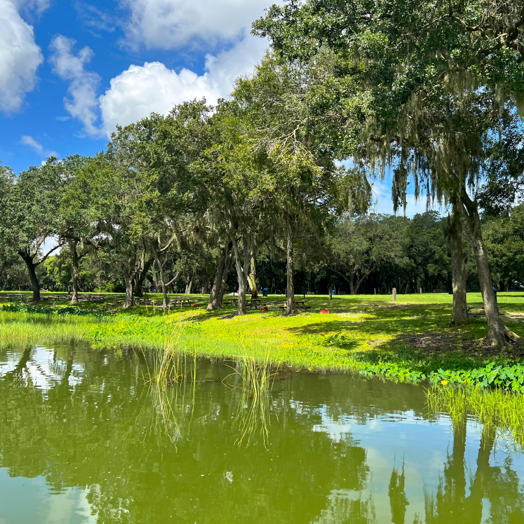 Wilderness Shores Ranch & Campground - Lakeland, Florida - glamping.directory
