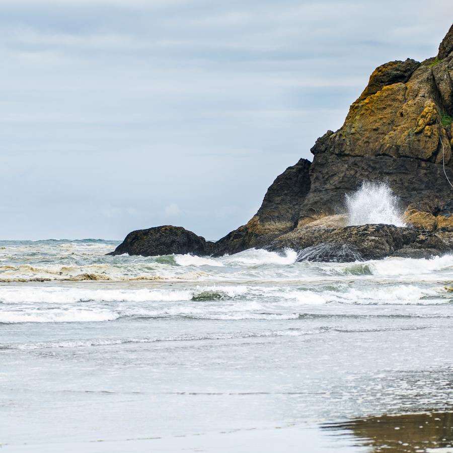 Cape Disappointment State Park - Ilwaco, Washington - glamping.directory