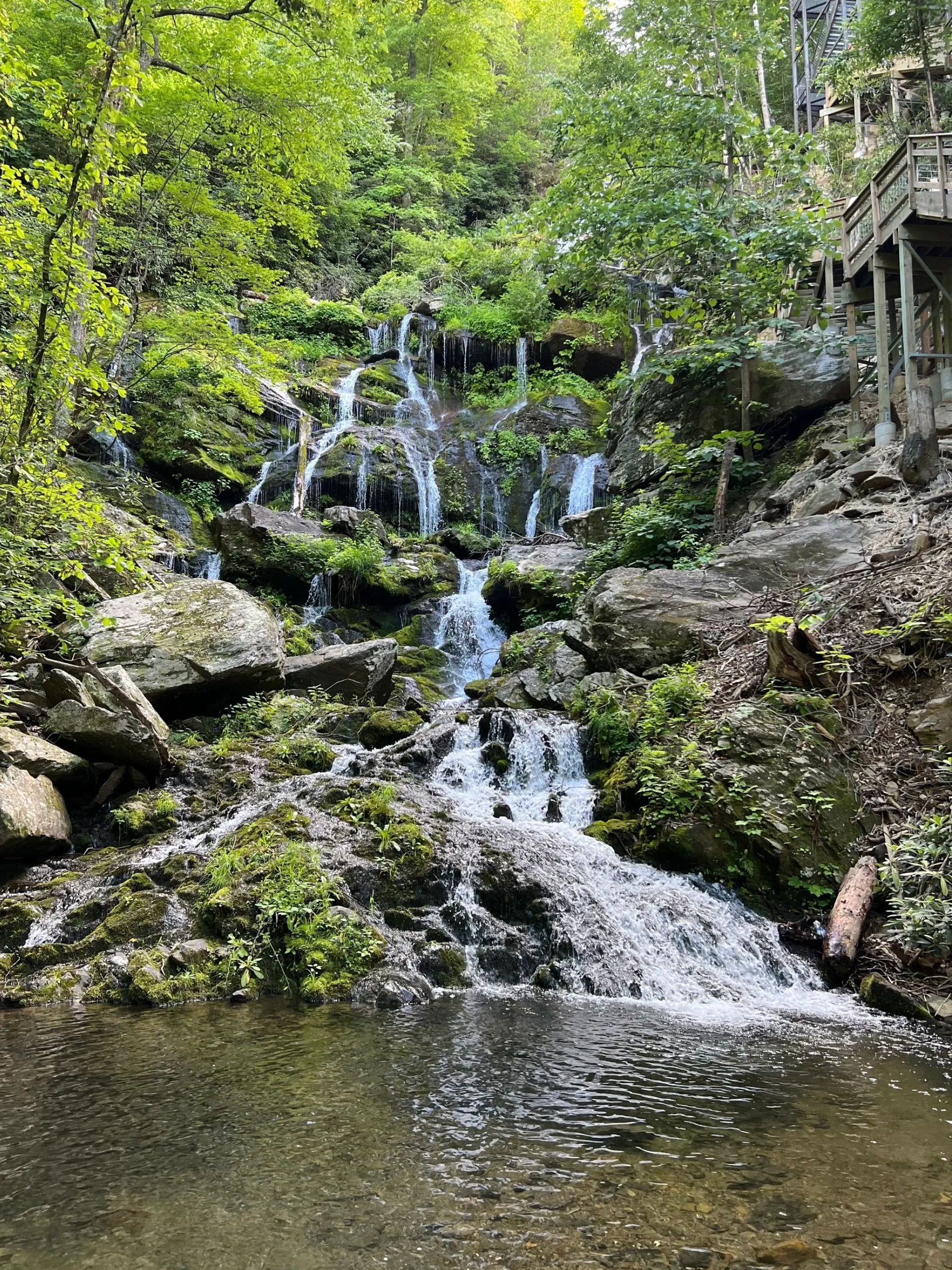 Catawba Falls Campground, LLC - Old Fort, North Carolina - glamping.directory