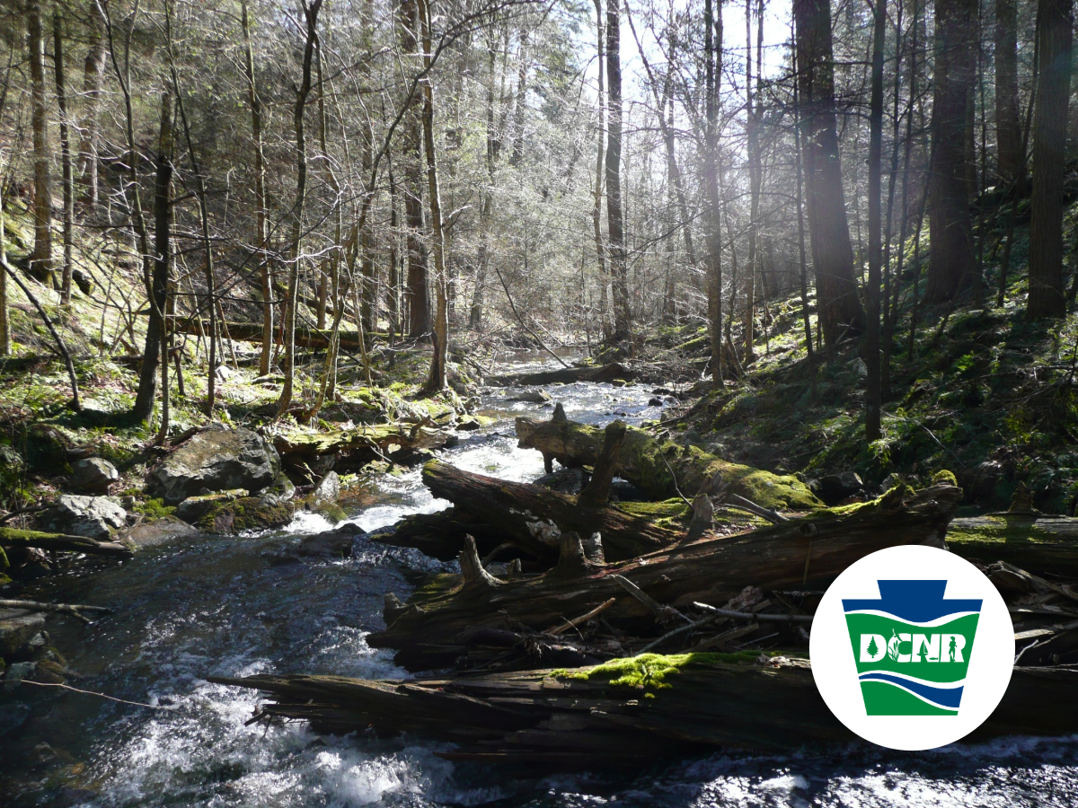 Kentuck Campground - Dunbar, Pennsylvania - glamping.directory