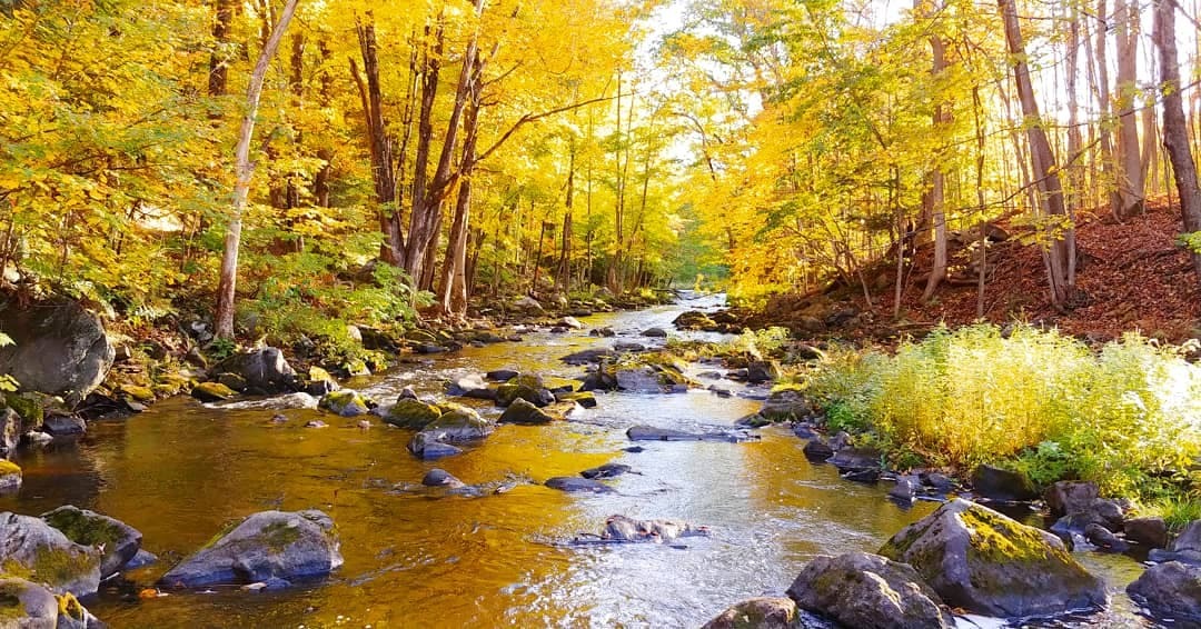 Martin Stream Campground - Turner, Maine - glamping.directory