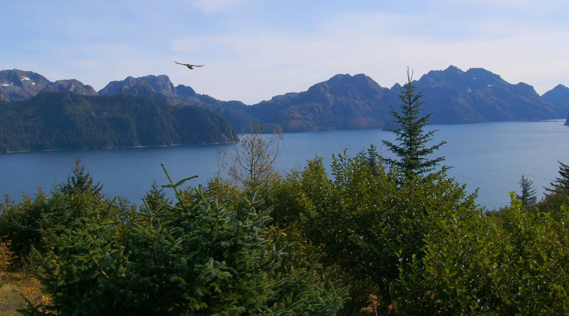 Alaskan Adventure Haven. Glamping and Outdoor Center. - Palmer, Alaska - glamping.directory