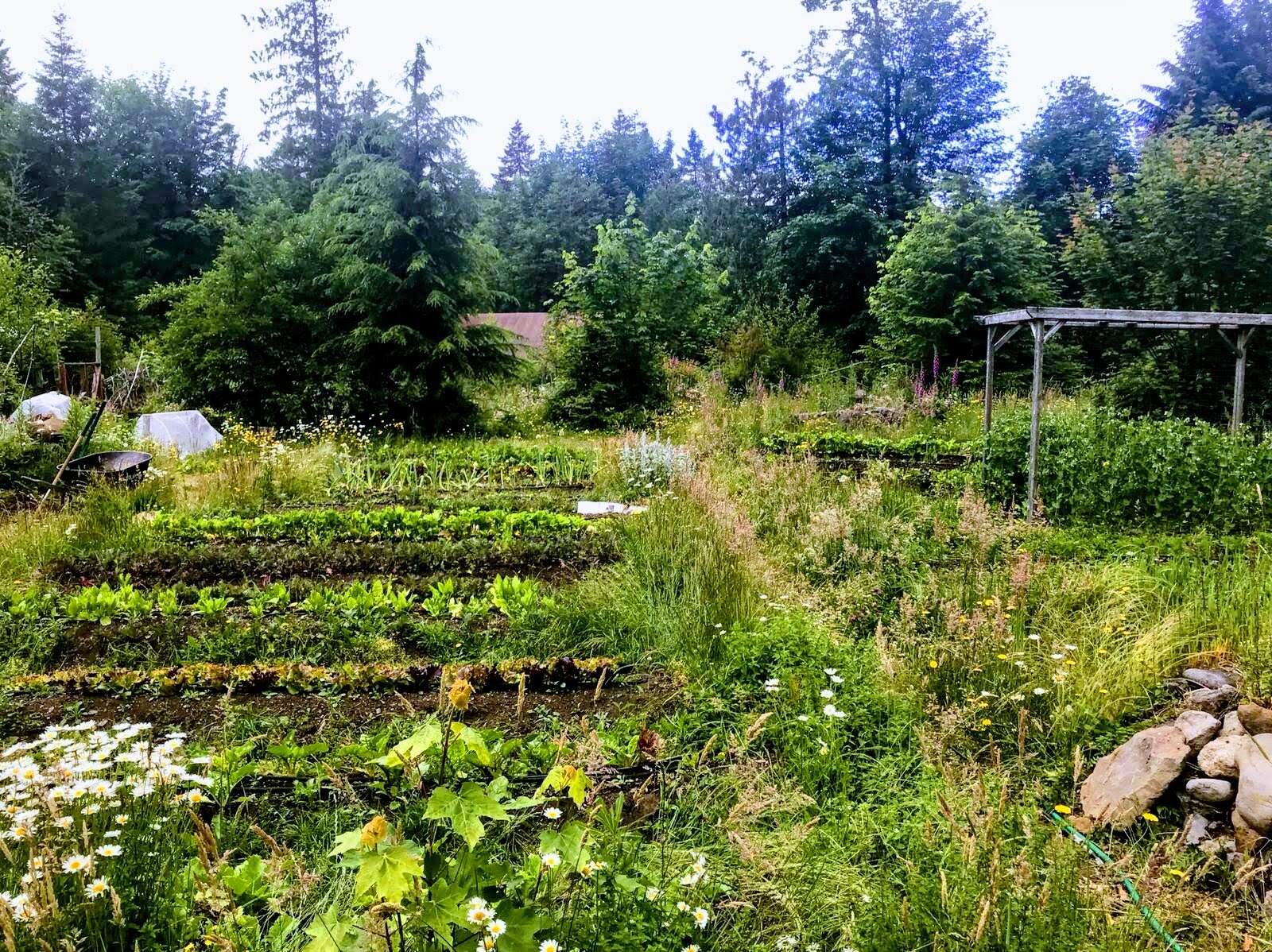 Zigzag Mountain Farm - Rhododendron, Oregon - glamping.directory