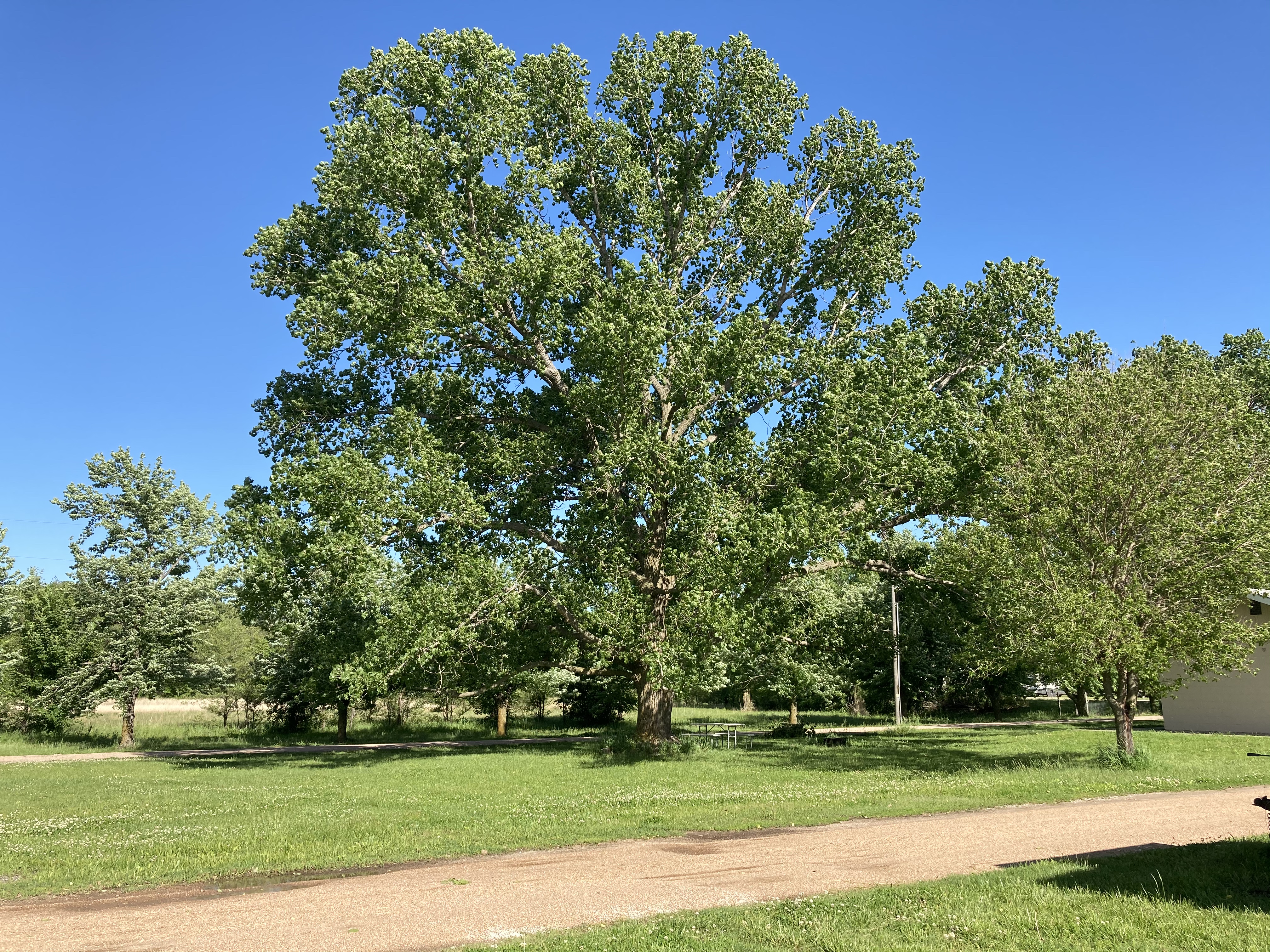 Cottonwood Grove RV Campground - Hesston, Kansas - glamping.directory