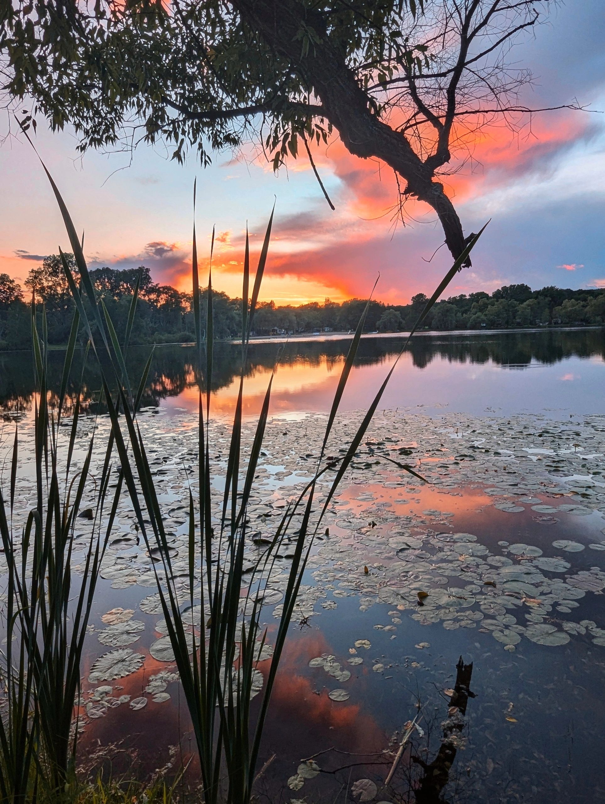 Lake Lenwood Beach & Campground - West Bend, Wisconsin - glamping.directory
