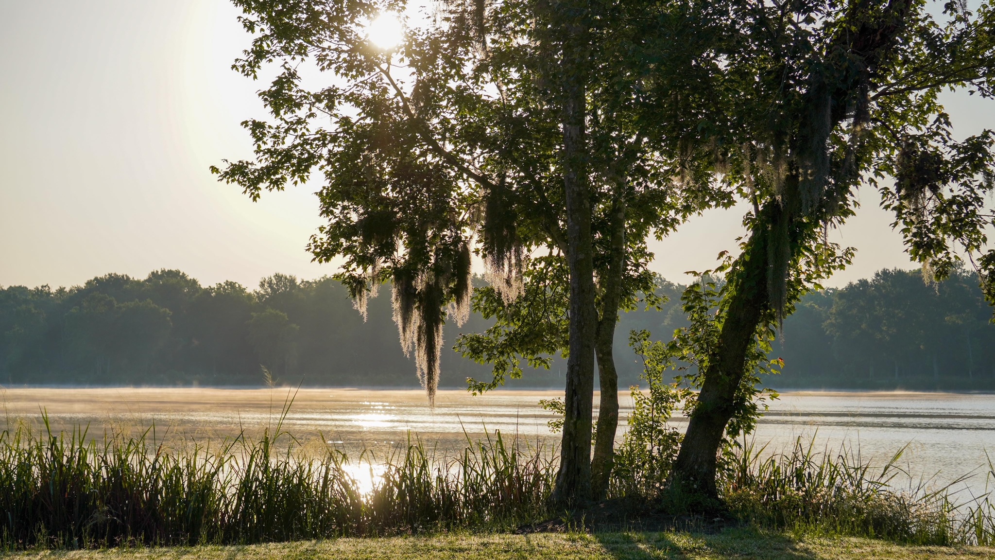 Cypress Lake Resort - Berwick, Louisiana - glamping.directory