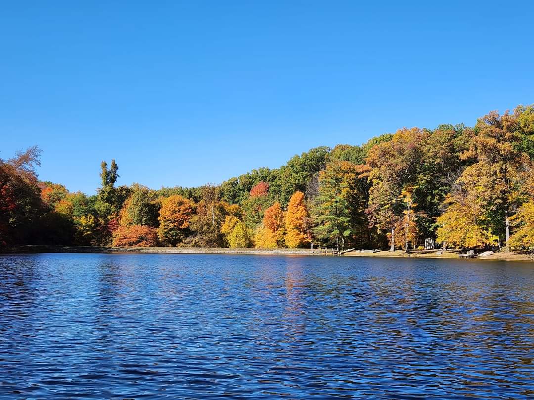 Dogwood Springs Campground - Cloverdale, Indiana - glamping.directory
