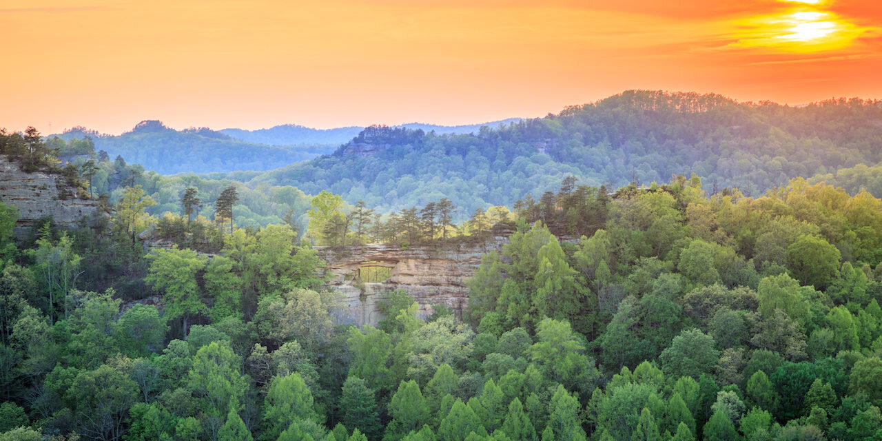 The Wilds - Stanton, Kentucky - glamping.directory