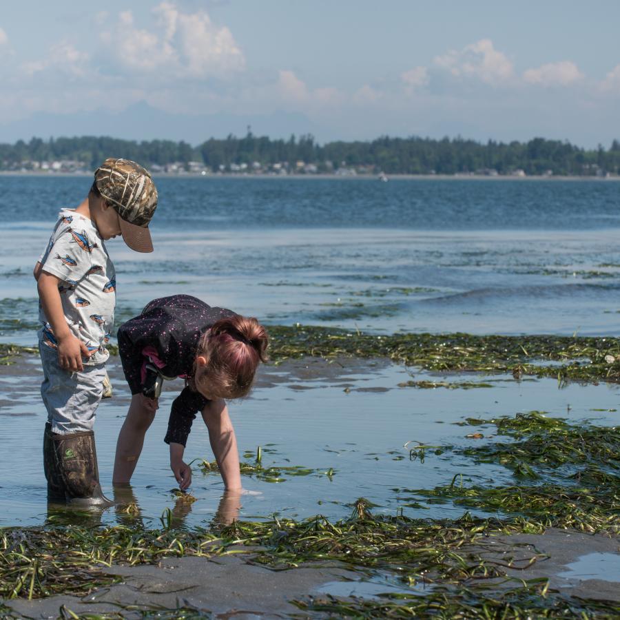 Birch Bay State Park - Blaine, Washington - glamping.directory