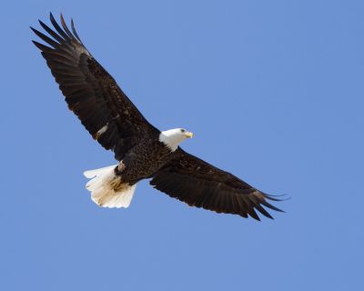 Eagle View RV Camp - Chetek, Wisconsin - glamping.directory