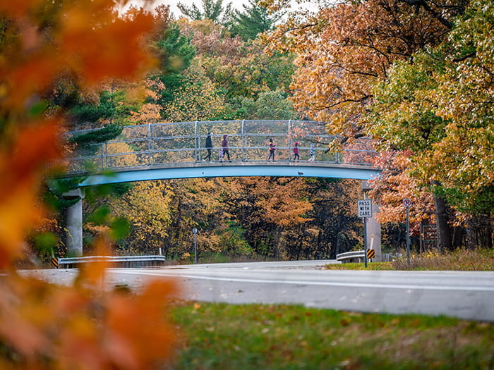 Sleeper State Park - Caseville, Michigan - glamping.directory