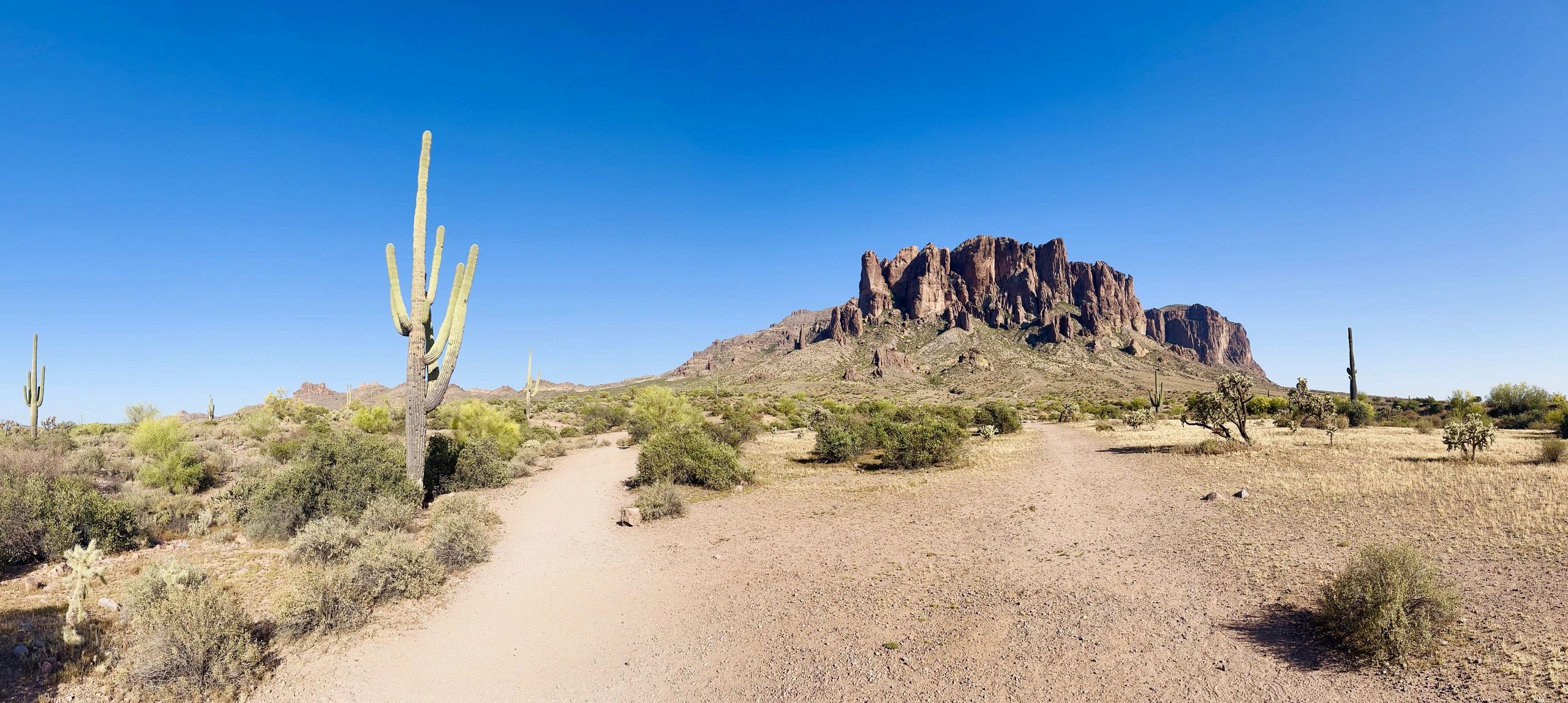 Country Cowboy RV Park - Apache Junction, Arizona - glamping.directory