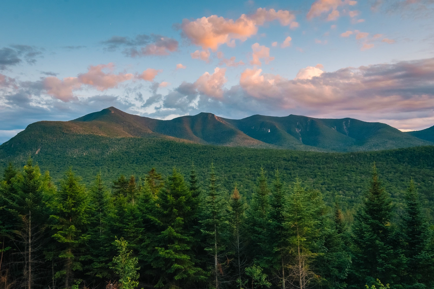 Bear's Pine Woods Campground & Resort - Moultonborough, New Hampshire - glamping.directory