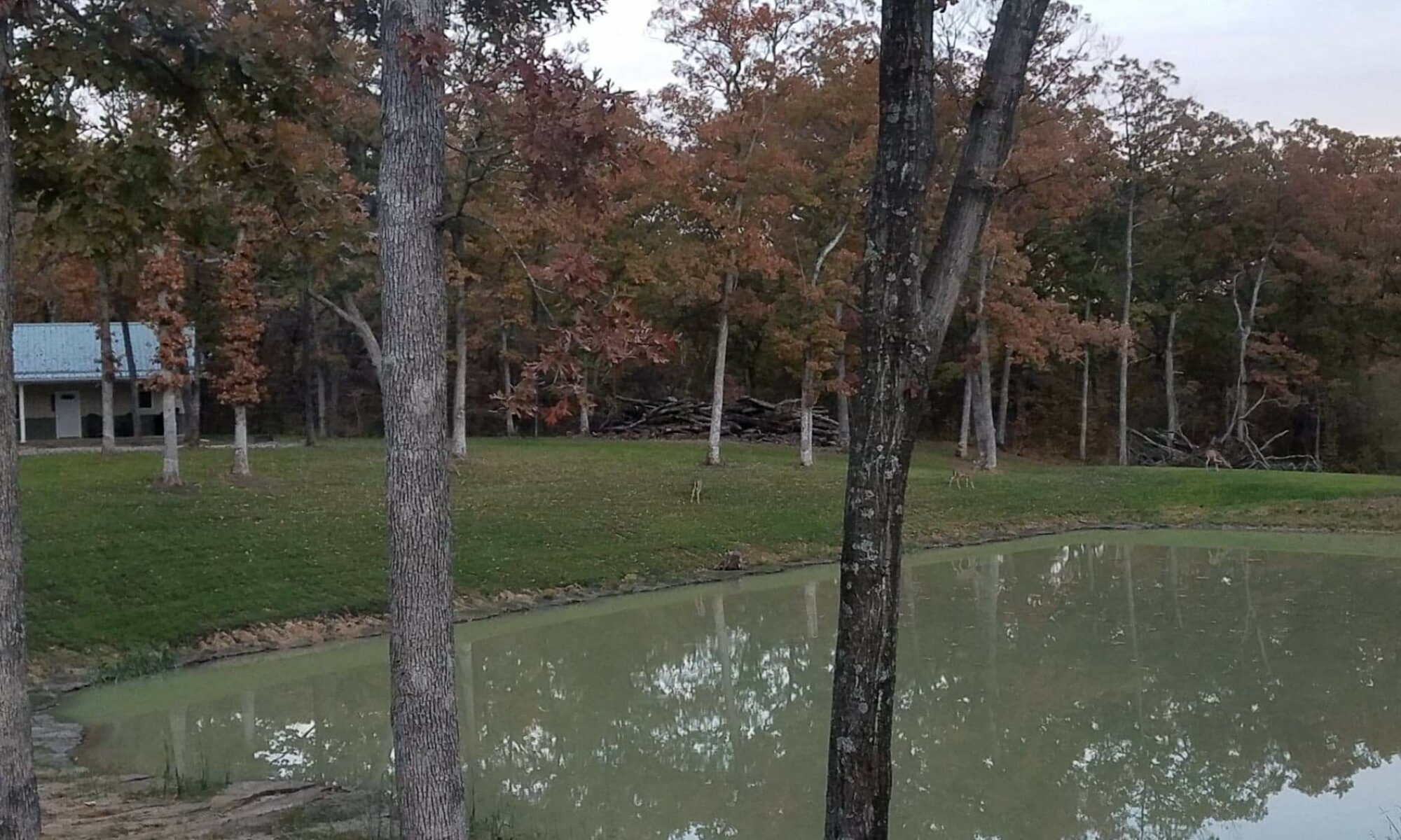 Oak Hollow Campground - Canton, Missouri - glamping.directory
