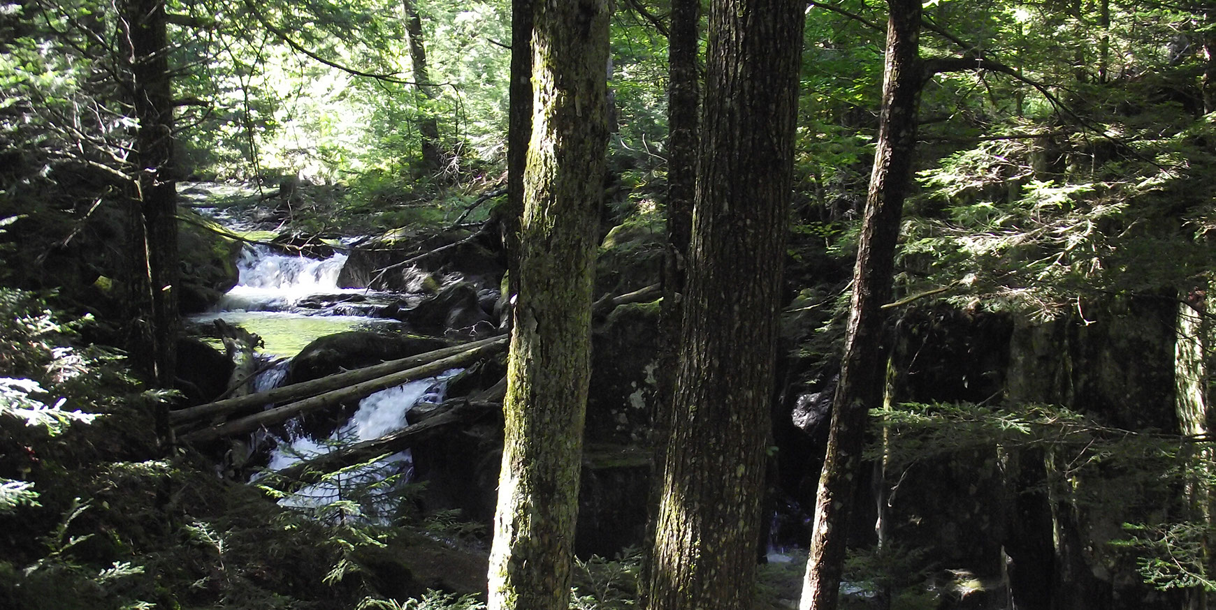 Barrewood Campground - Westfield, Vermont - glamping.directory