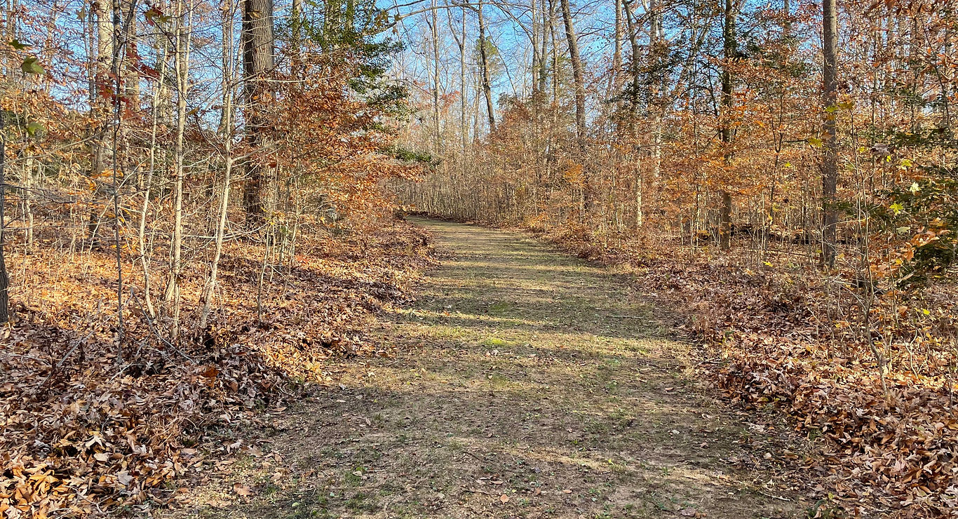 Wilderness Run RV Resort - Leonardtown, Maryland - glamping.directory