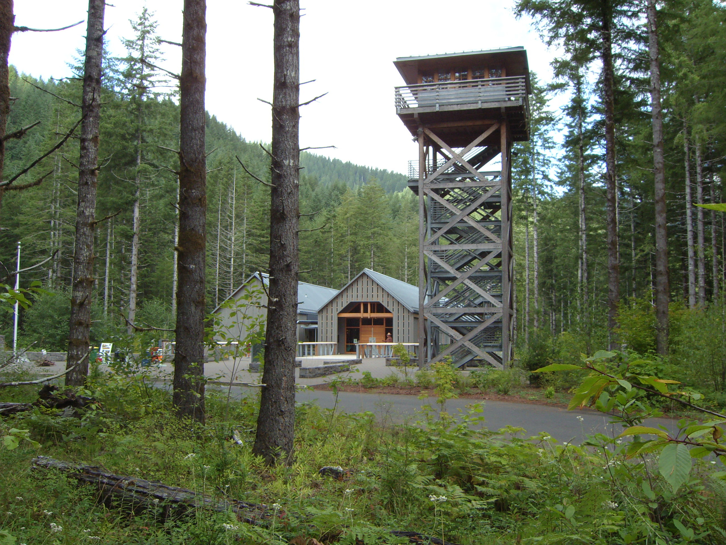 Tillamook State Forest - Tillamook, Oregon - glamping.directory