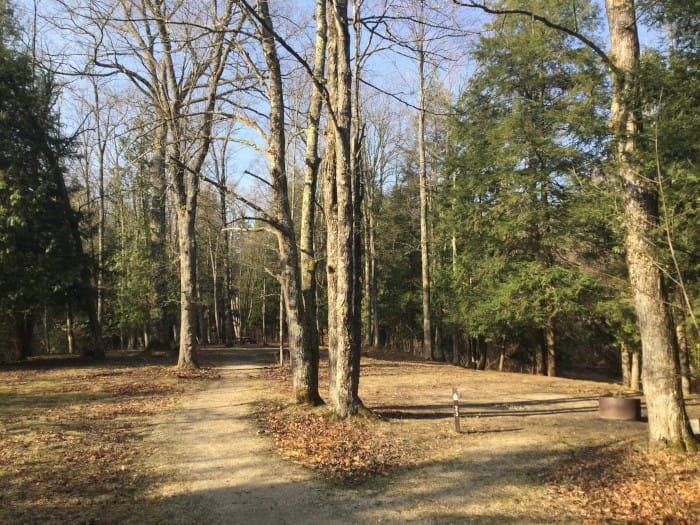 Silver Creek State Forest Campground - Luther, Michigan - glamping.directory