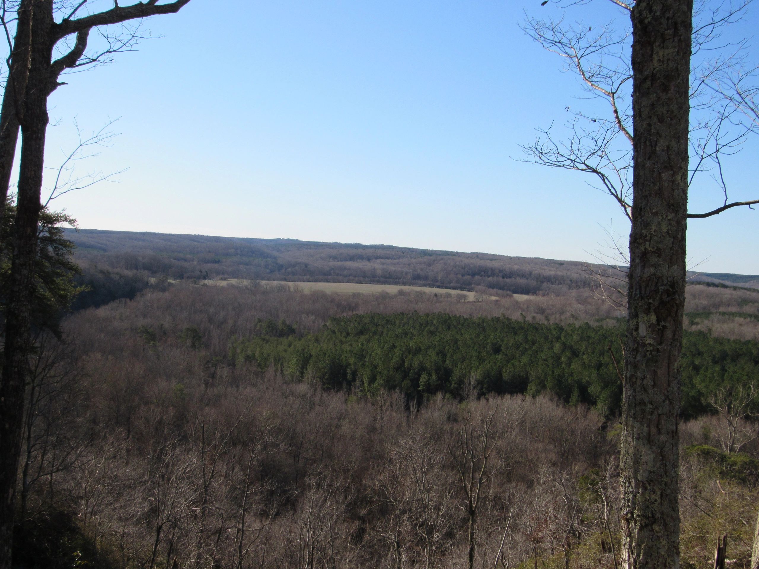 Pine Bluff RV Campground - Flatwoods, Tennessee - glamping.directory