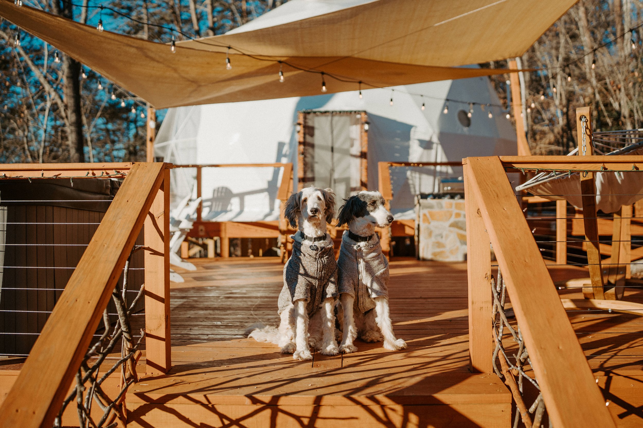 Carolina Domes - Union Mills, North Carolina - glamping.directory