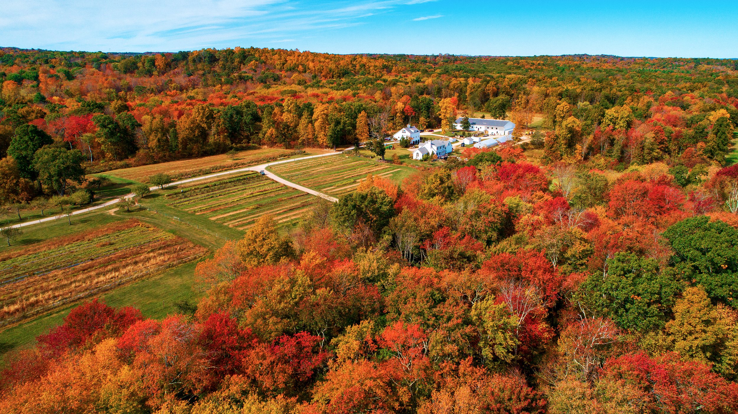 Tree House Farm Brewery - Woodstock, Connecticut - glamping.directory