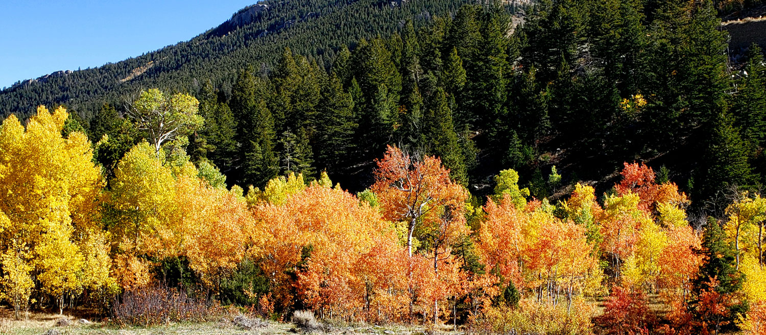 Mountain Range RV Park - Lander, Wyoming - glamping.directory