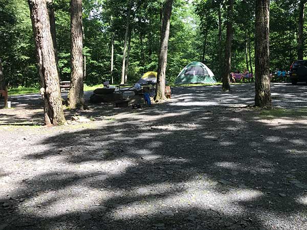 Cranberry Run Campground - East Stroudsburg, Pennsylvania - glamping.directory