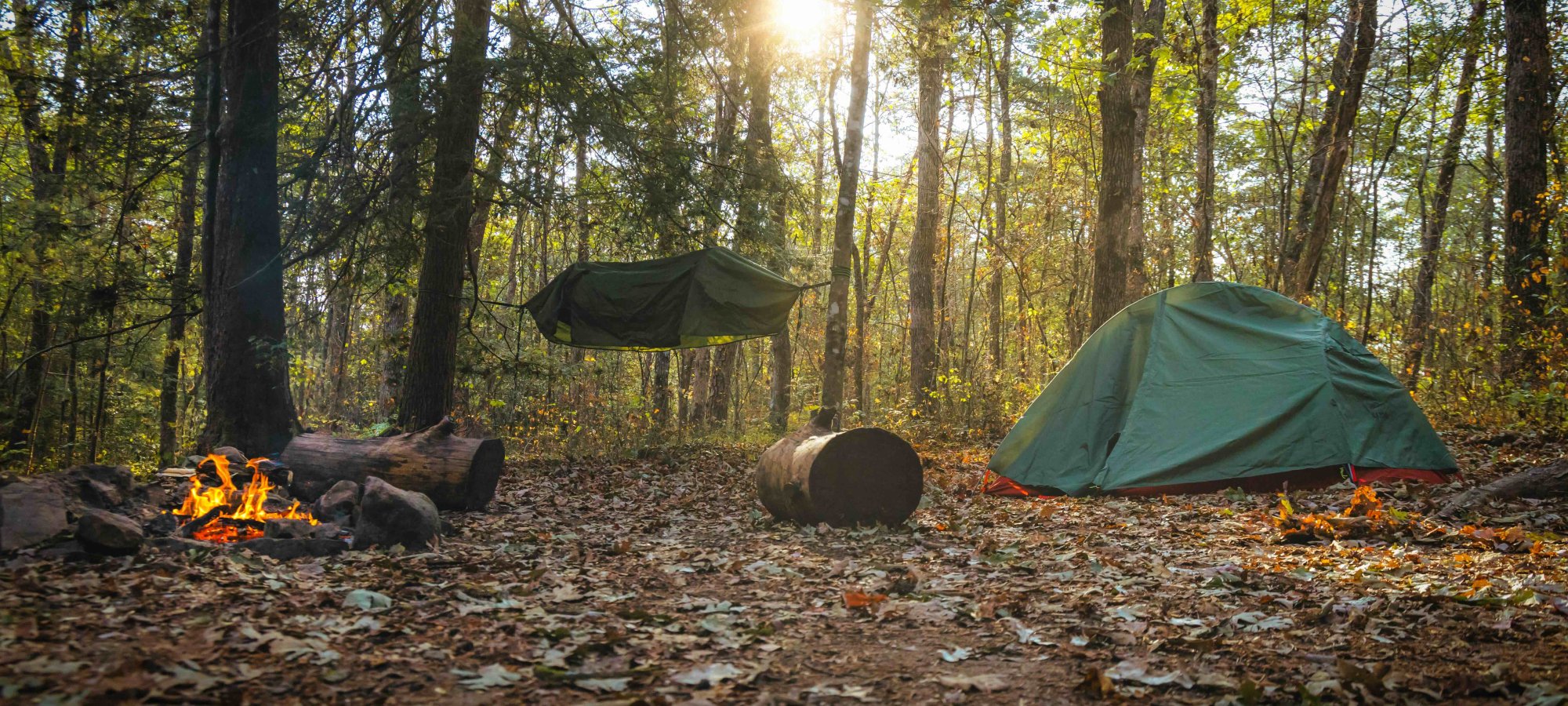 Little Cove Campground - Sequatchie, Tennessee - glamping.directory