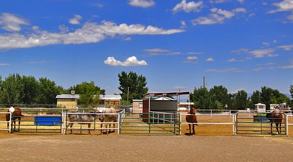 Kiva RV Park and Horse Motel - Bosque, New Mexico - glamping.directory