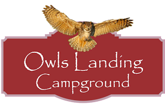 Owls Landing Campground - Holderness, New Hampshire - glamping.directory