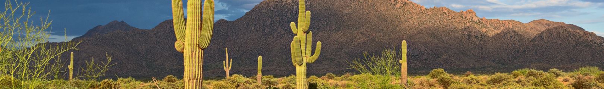 Ironwood Picnic Area and Campground - Fort McDowell, Arizona - glamping.directory