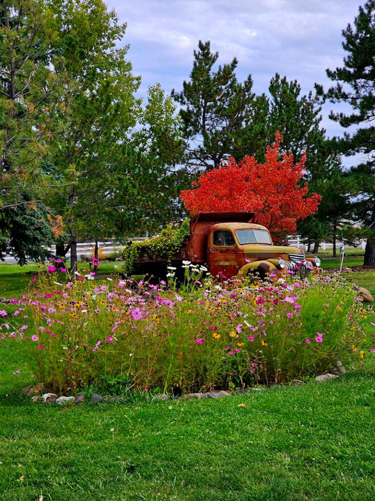 Bear Den RV Resort - Grangeville, Idaho - glamping.directory